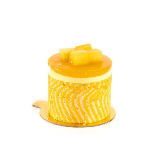Mango Mousse Slice